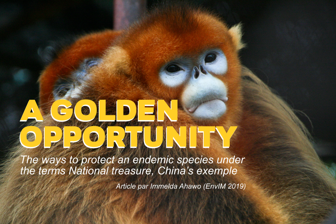 Saving the Yunnan Golden Monkey