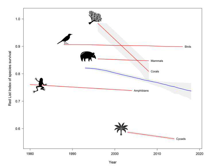 Figure 3: The IUCN Red List Index (RLI) of species survival for mammals, birds, amphibians, reef-forming corals and cycads [10]