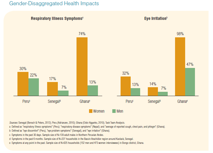 Figure 5: Gender-Disaggregated Health Impacts. Source: Putti et al. (2015)