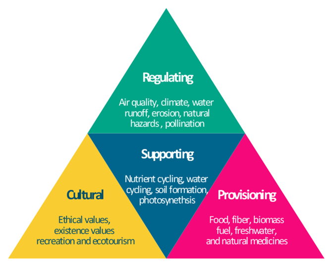 Figure 2:Overview of the different ecosystem services identified: These are Provisioning services, Regulating services, Supporting services, and Cultural services. Some examples are shown with some categories [4] .