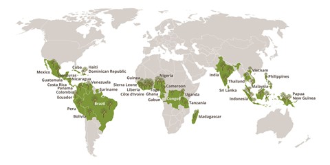 Figure 1 : Pays producteurs de cacao 