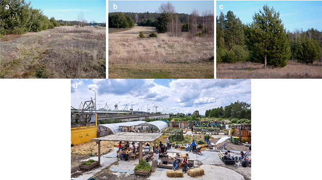 Figure 3:panel a-c are pictures of succession stages of abandoned land in Eastern-Europe [8], while d is a picture of ‘ la prairie du canal’, an event area with urban farm located on the terrain of an old motorcycle factory [9], [10].