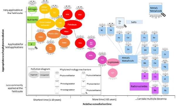 Figure 6: Overview of the phytoremediation potential of some contaminants and their remediation potential with phytoremediation. Adapted from The Public Waste Agency of Flanders (OVAM) [17].