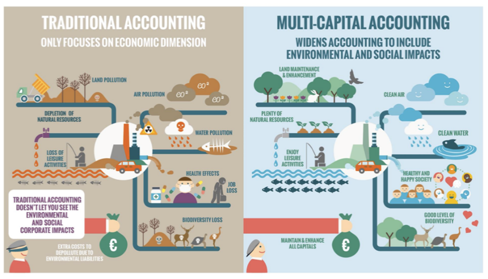 Figure 1: Traditional accounting versus multi-capital accounting (Fermes d’Avenir, 2019)