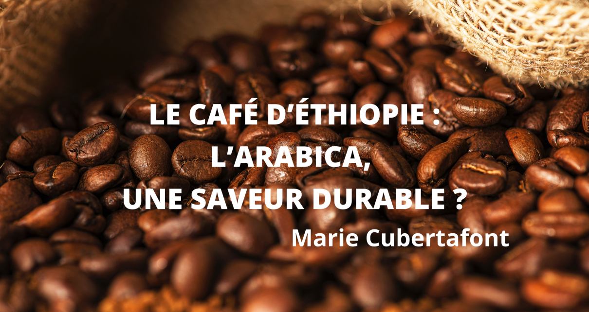 Le café d’Éthiopie : l’Arabica, une saveur durable ?
