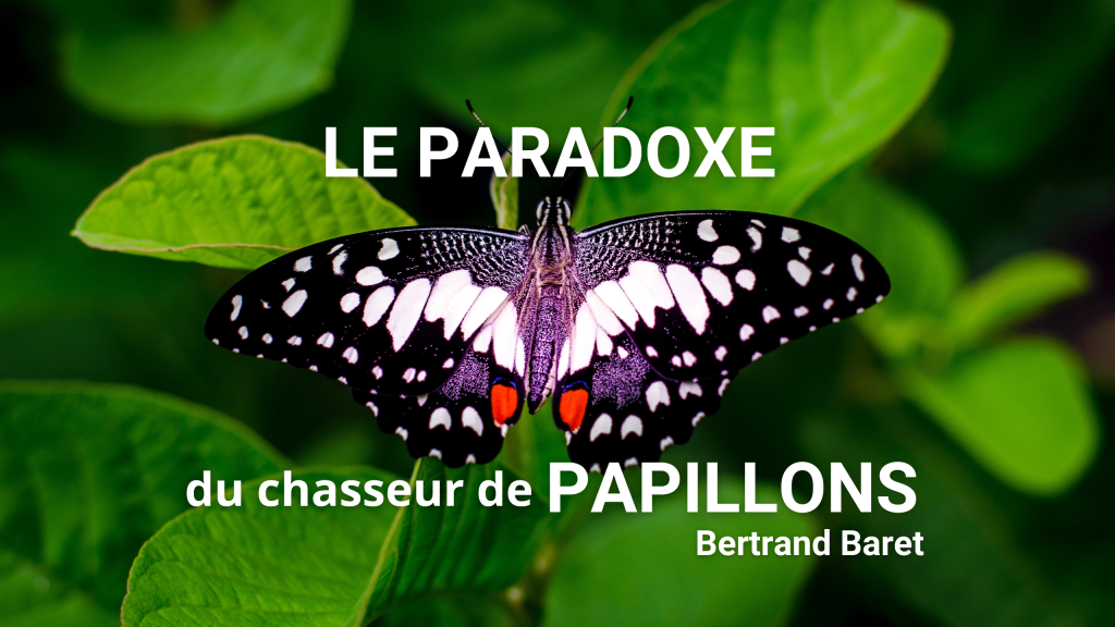 Le paradoxe du chasseur de papillons Blog de l ISIGE MINES Paris