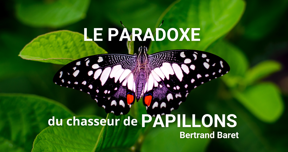 Le paradoxe du chasseur de papillons