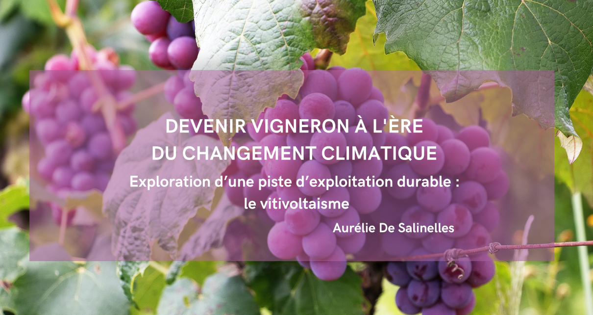 Devenir vigneron à l’ère du changement climatique