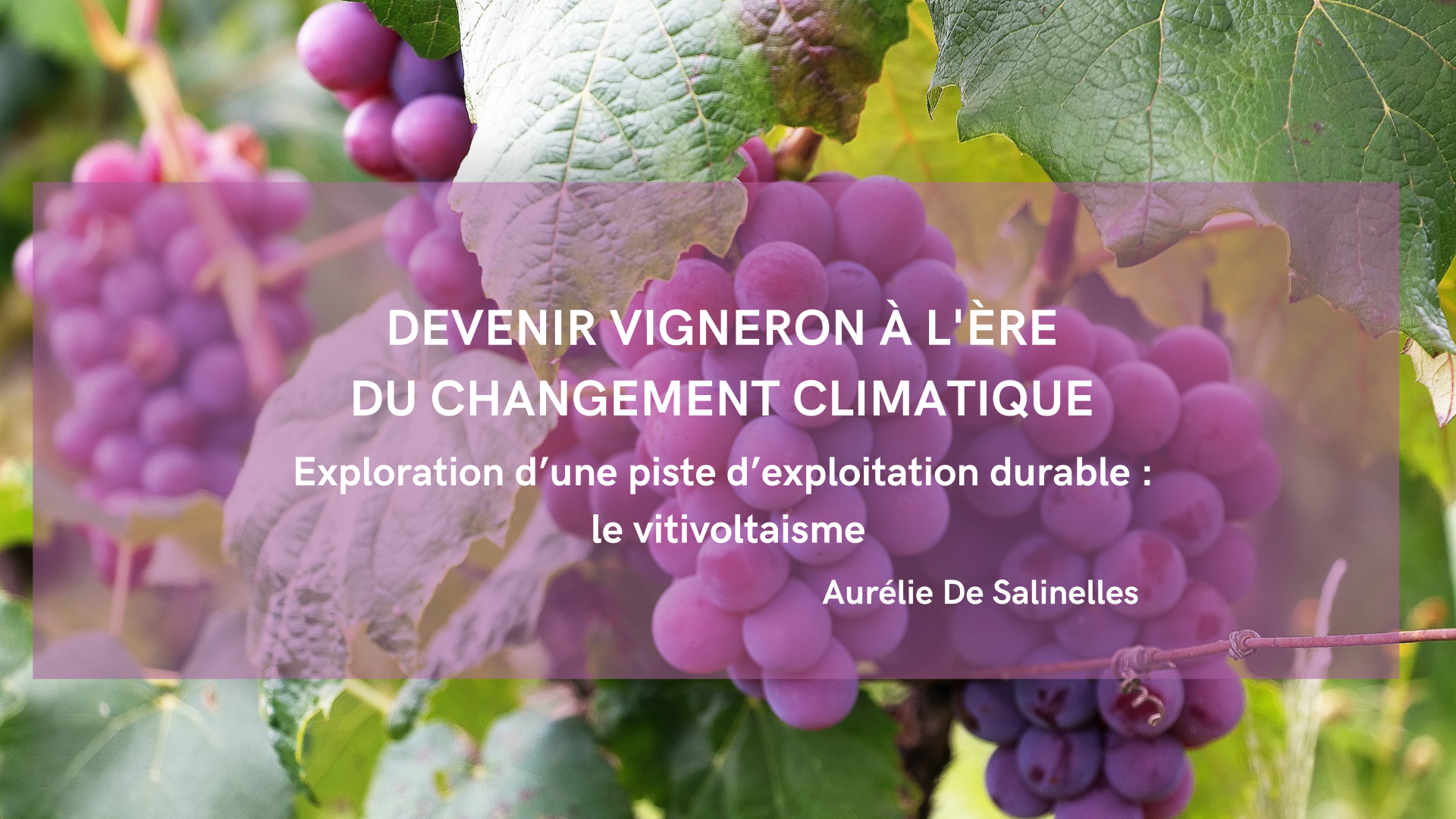 Devenir vigneron à l’ère du changement climatique