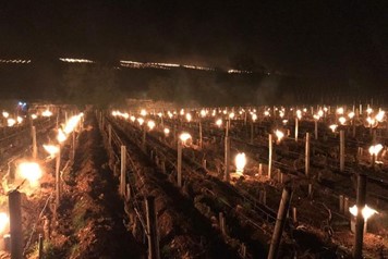 Pour se protéger du gel, les viticulteurs de la côte de Beaune ont allumé des centaines de bougies, dans le nuit du 3 au 4 avril. © Amélie Douay / France Télévisions [6]