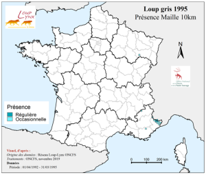 Sources : Réseau Loup-Lynx OFB L’évolution des cartes de détection de présence de l’espèce au cours du temps est consultable sur le portail de l’OFB « Carmen »