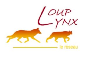 Le réseau Loup-Lynx a pour objectif la surveillance de la population de loups et de lynx en France.
