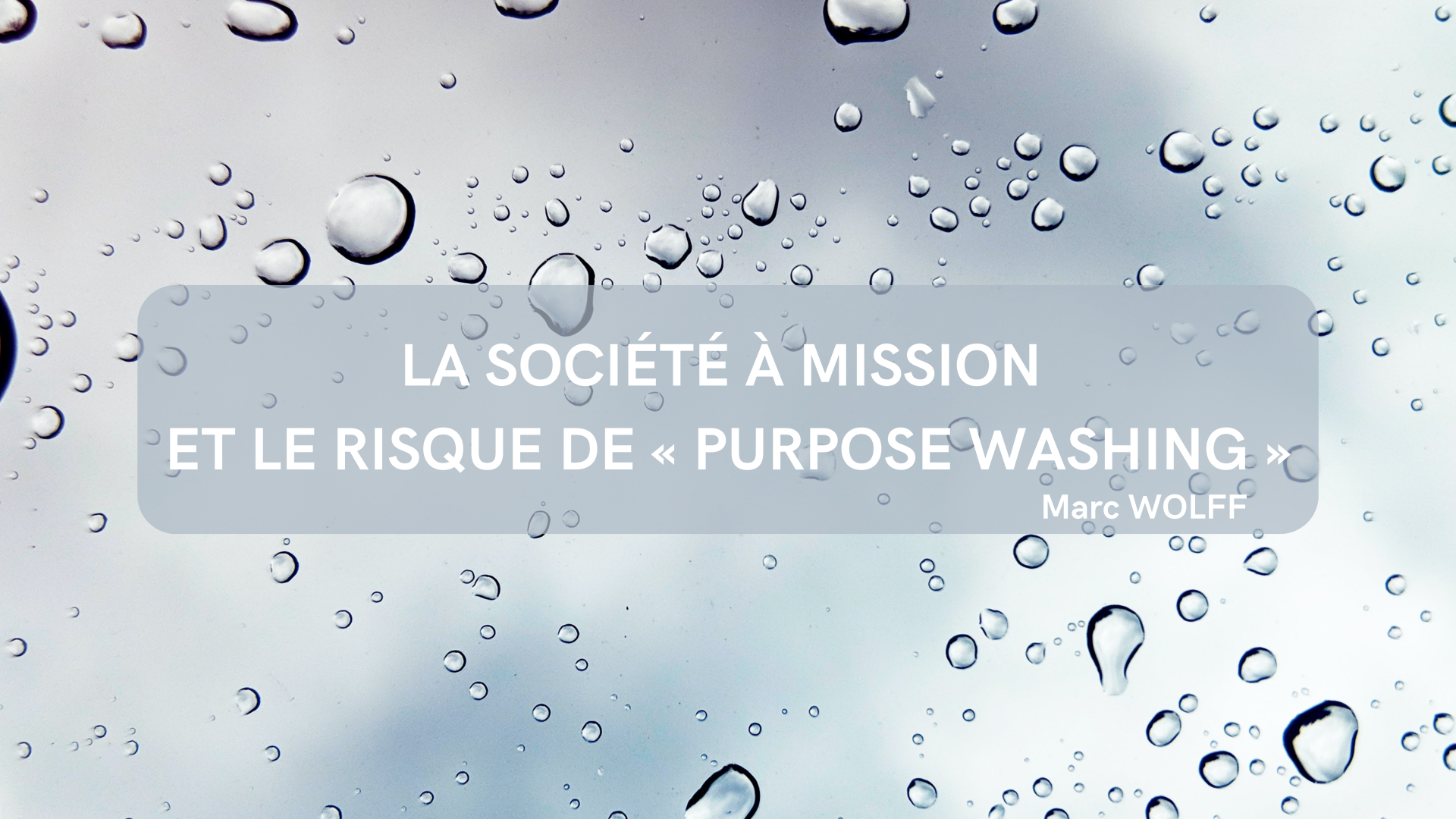 La société à mission et le risque de « purpose washing »