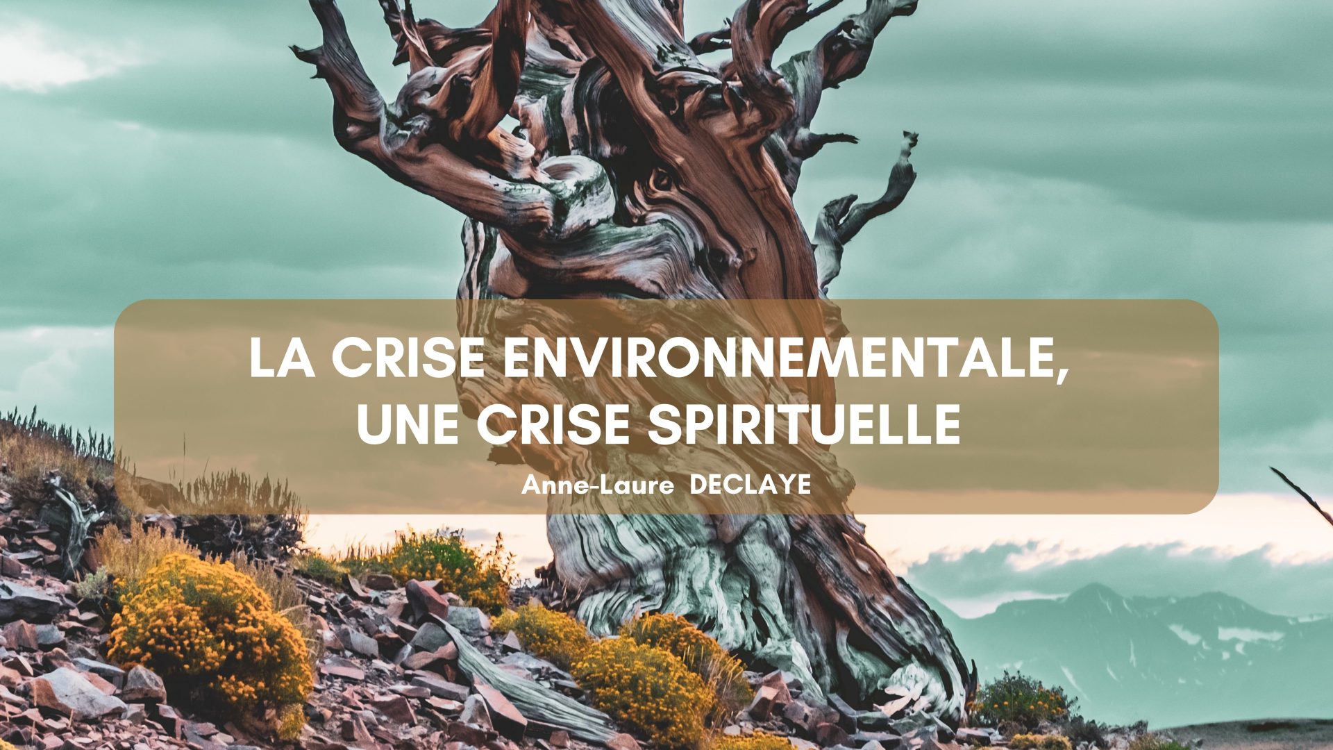 La crise environnementale, une crise spirituelle