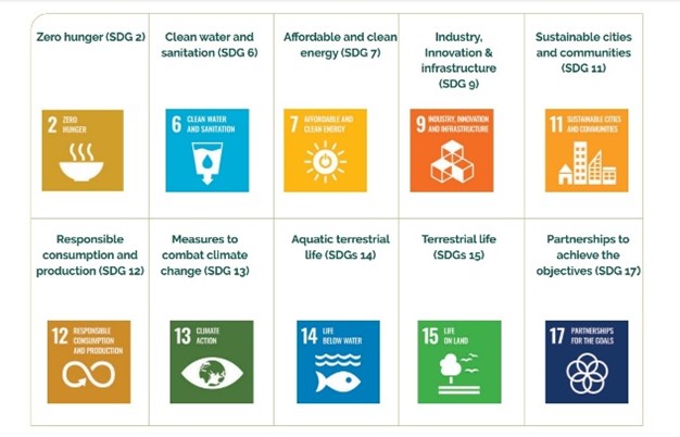 Figure 2 : SDGs carried out by the COJO.