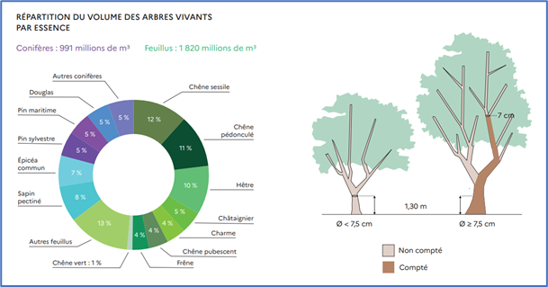 Source : «INVENTAIRE FORESTIER NATIONAL_memento_2023» [1]