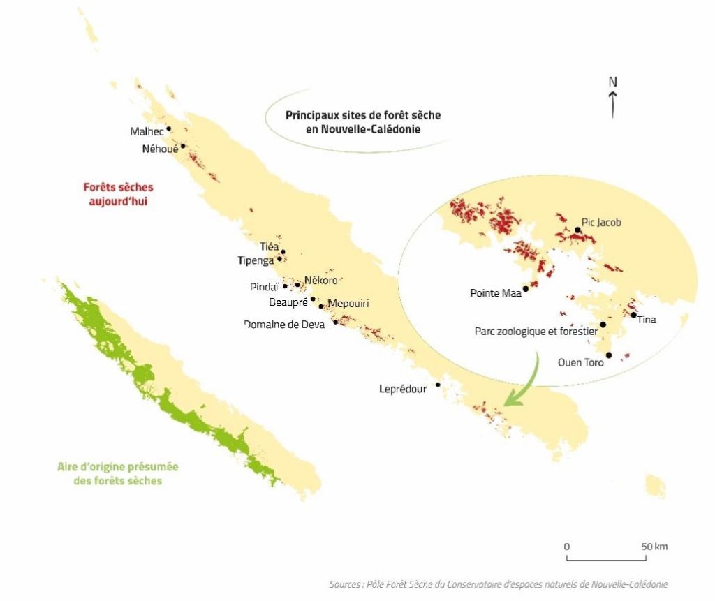 Figure 4 : Principaux sites de forêt sèche en Nouvelle-Calédonie, @Conservatoire d’espaces naturels de Nouvelle-Calédonie