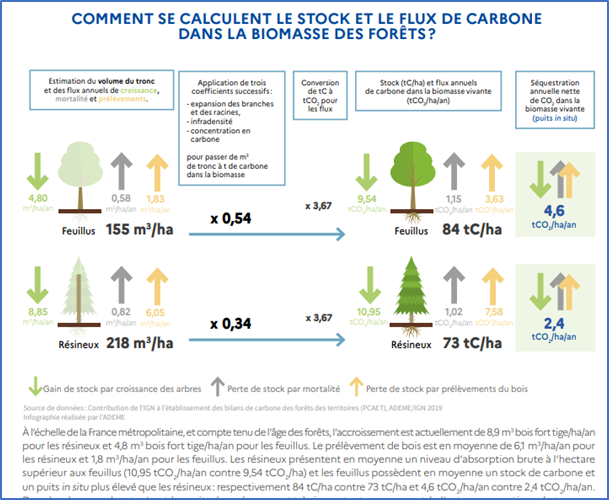 Source : Ademe, «Le carbone forestier Forêts et usages du bois dans l'attenuation du changement climatique,» 2021 [9]