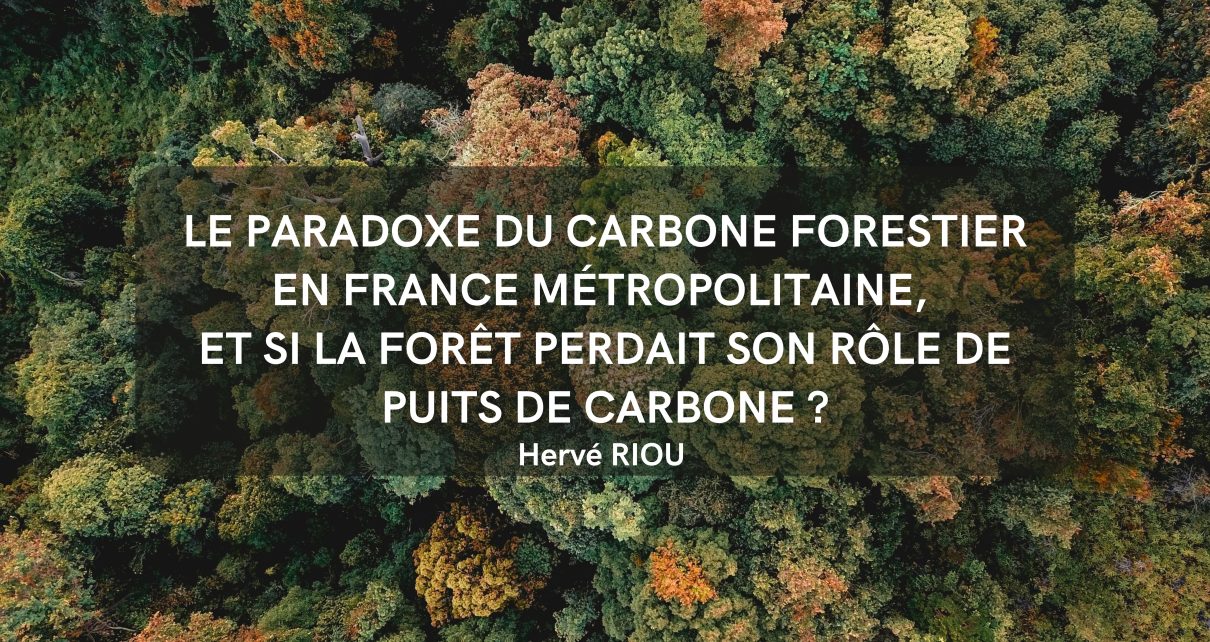 Le paradoxe du carbone forestier en France métropolitaine, et si la forêt perdait son rôle de puits de carbone ?
