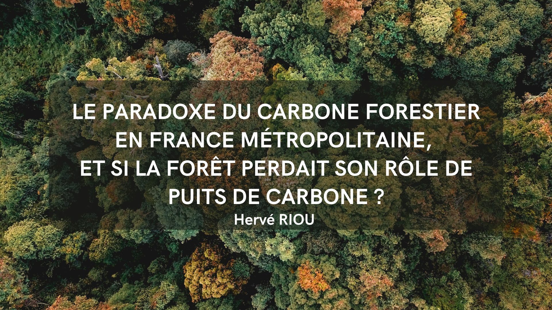 Le paradoxe du carbone forestier en France métropolitaine, et si la forêt perdait son rôle de puits de carbone ?