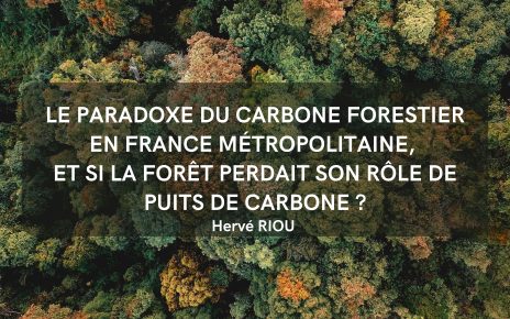 Le paradoxe du carbone forestier en France métropolitaine, et si la forêt perdait son rôle de puits de carbone ?