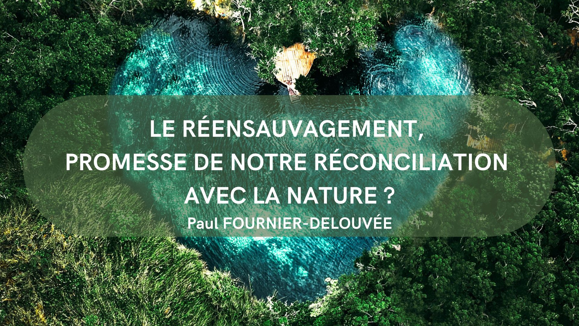 Le réensauvagement, promesse de notre réconciliation avec la Nature ?