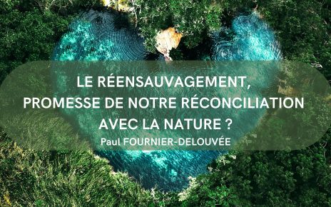 Le réensauvagement, promesse de notre réconciliation avec la Nature ?