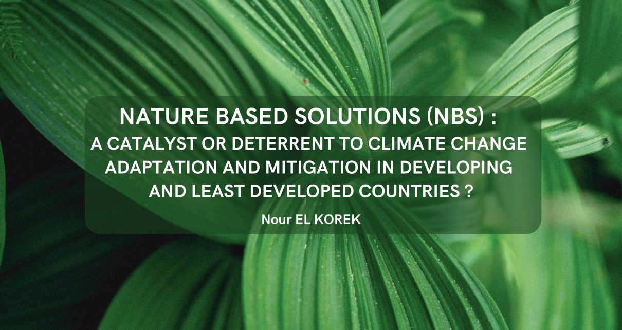 Nature Based Solutions (NBS): A catalyst or deterrent to climate change adaptation and mitigation in developing and least developed countries?