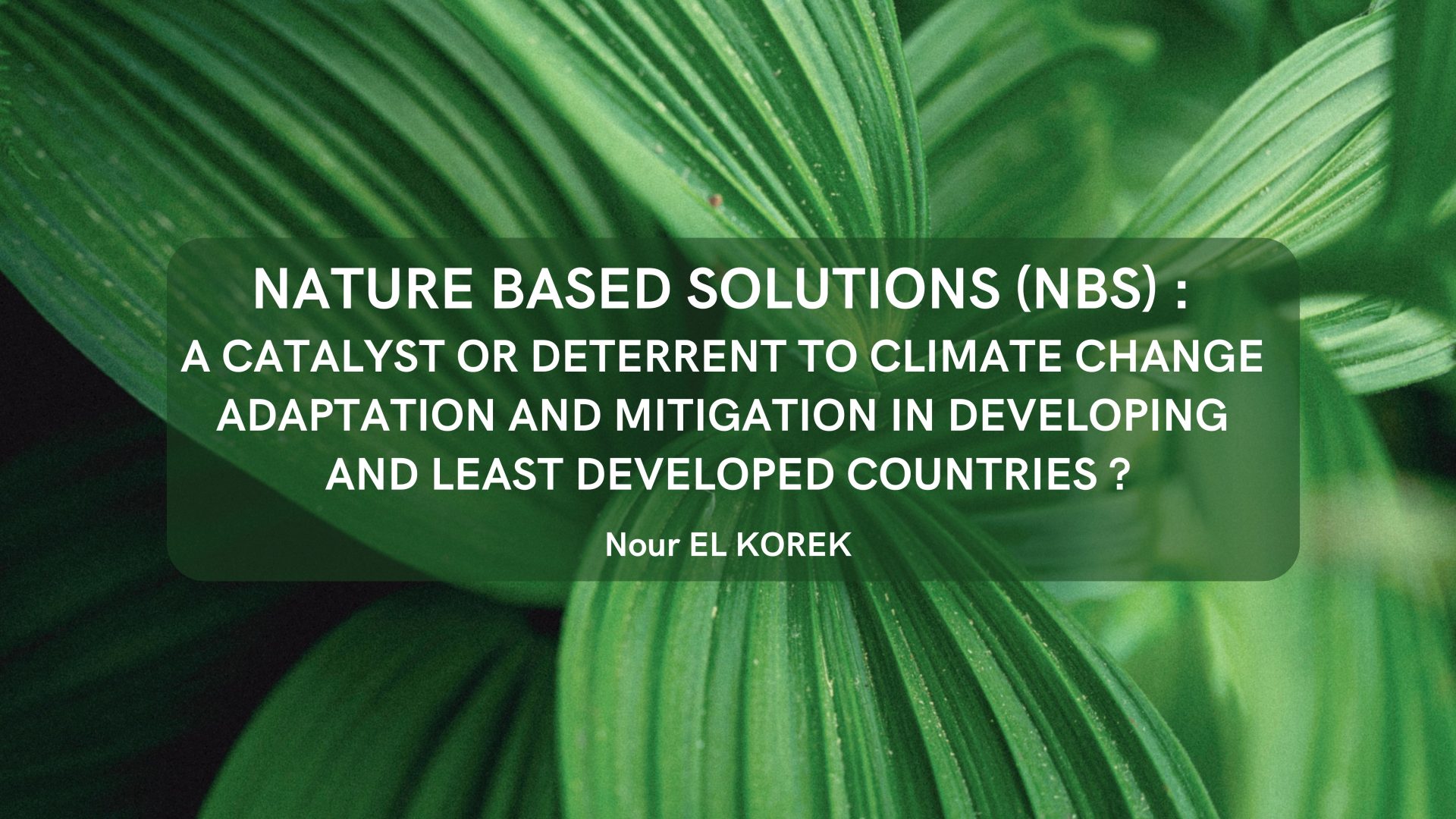 Nature Based Solutions (NBS): A catalyst or deterrent to climate change adaptation and mitigation in developing and least developed countries?