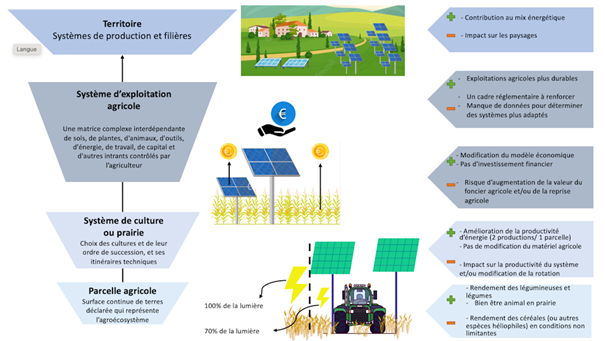 Figure 6 : Schéma présentant les impacts de l’agrivoltaïsme [14]