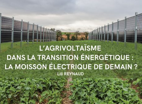 L’agrivoltaïsme dans la transition énergétique : la moisson électrique de demain ?