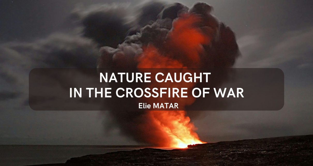 Nature Caught in the Crossfire of War