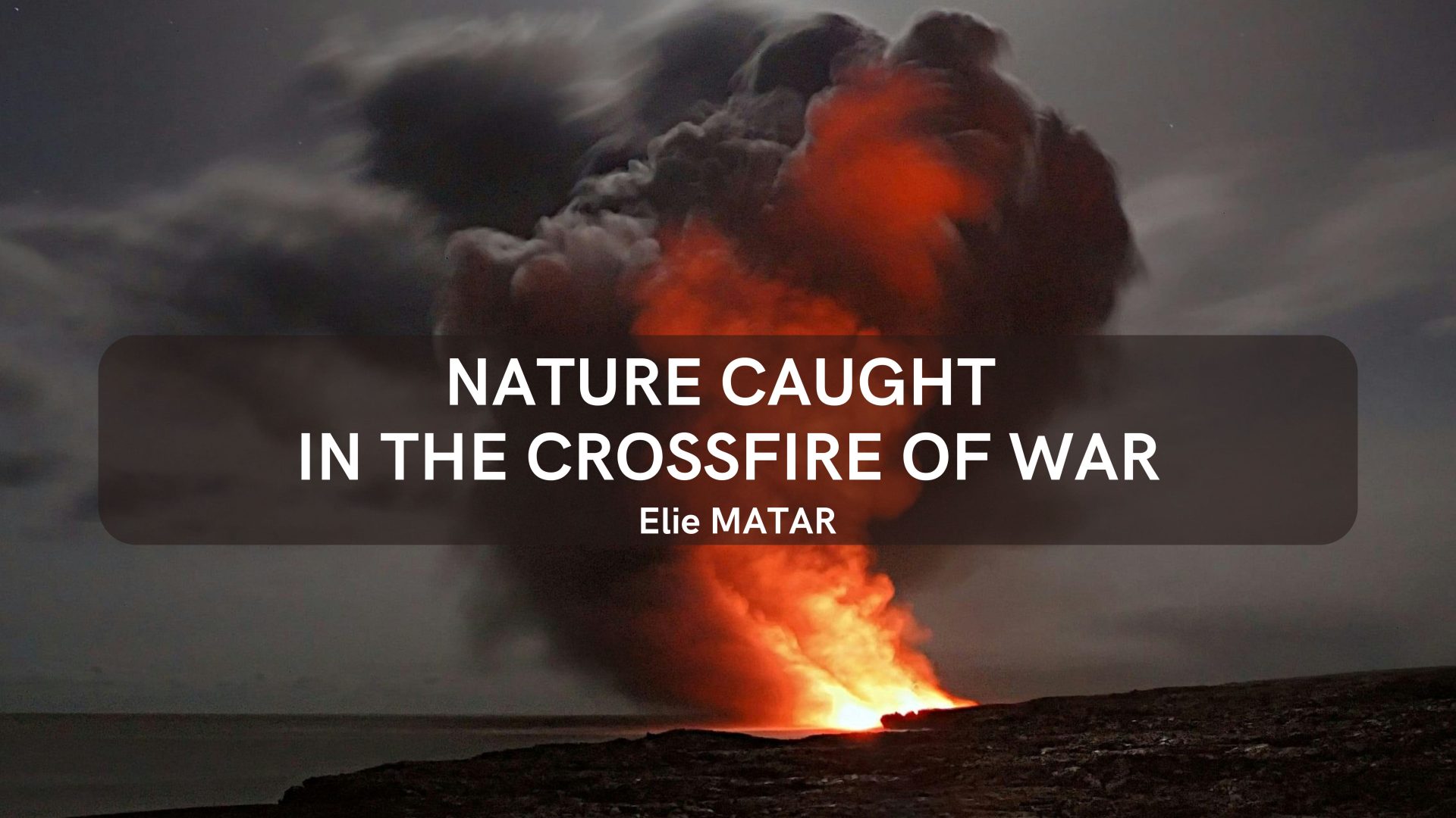 Nature Caught in the Crossfire of War