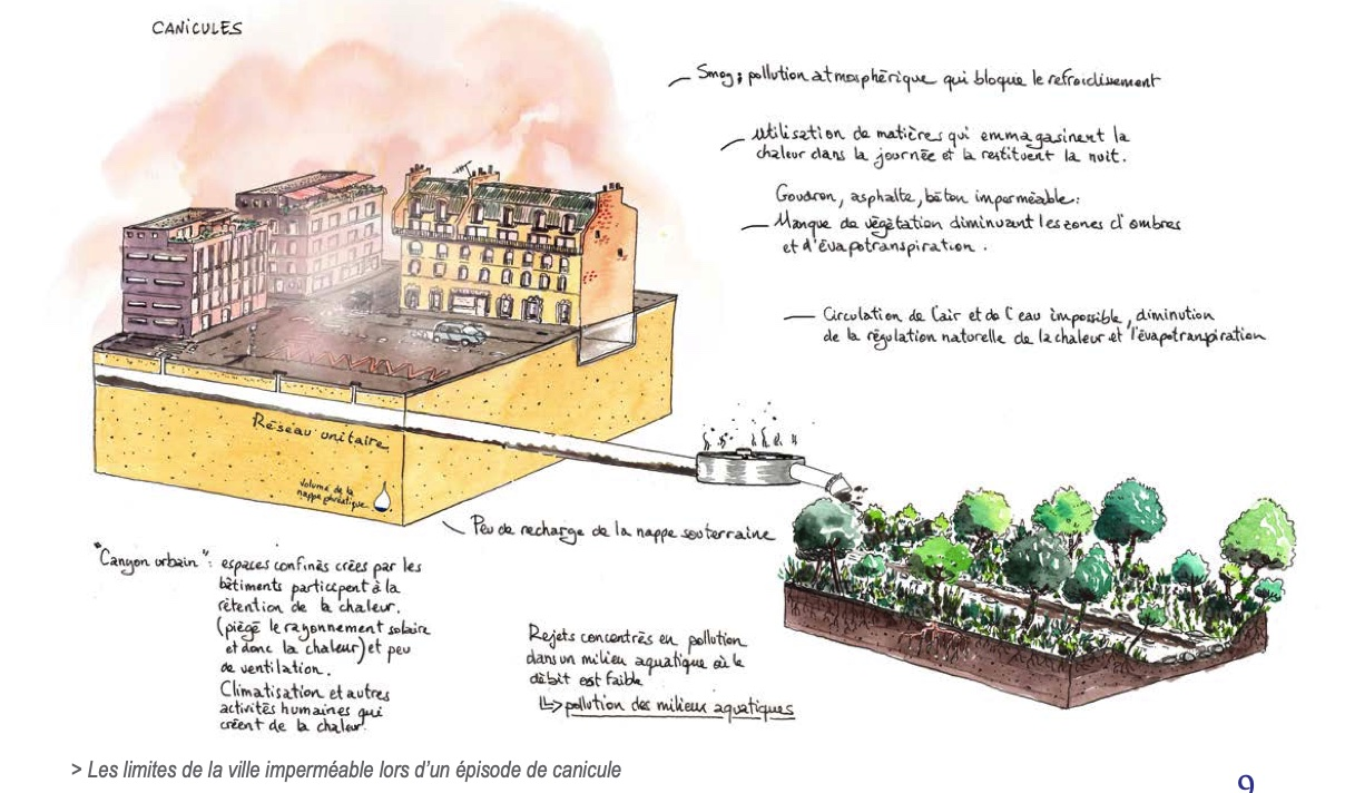 Source des images : https://www.mavillepermeable.fr/uploads/resource/2021_fne-aura_a-l-eau-les-idees-recues.pdf
