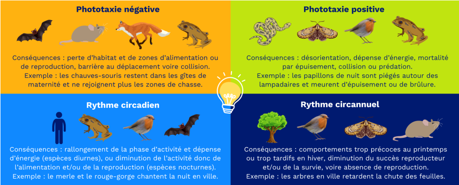 Source : EDF
