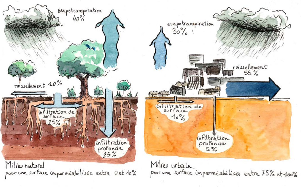 Source des images : https://www.mavillepermeable.fr/uploads/resource/2021_fne-aura_a-l-eau-les-idees-recues.pdf