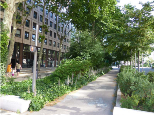 Noues – Rue Garibaldi à Lyon – Source Ma ville perméable