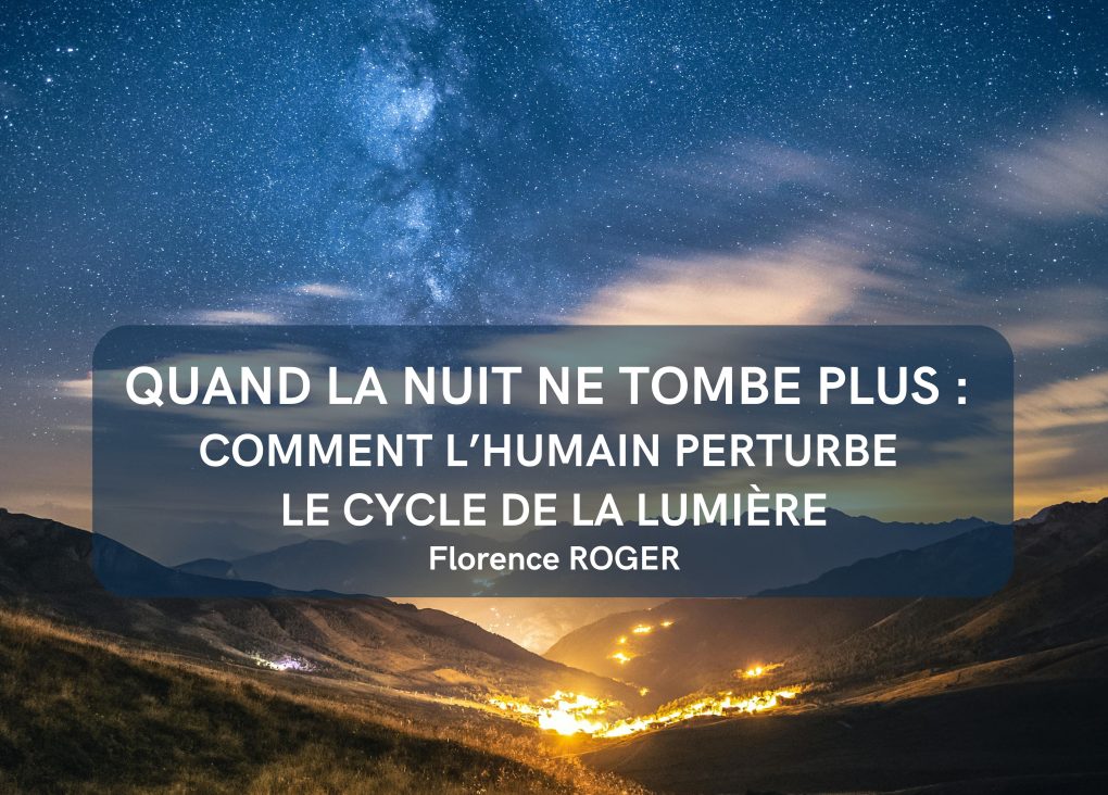 QUAND LA NUIT NE TOMBE PLUS : COMMENT L’HUMAIN PERTURBE LE CYCLE DE LA LUMIERE