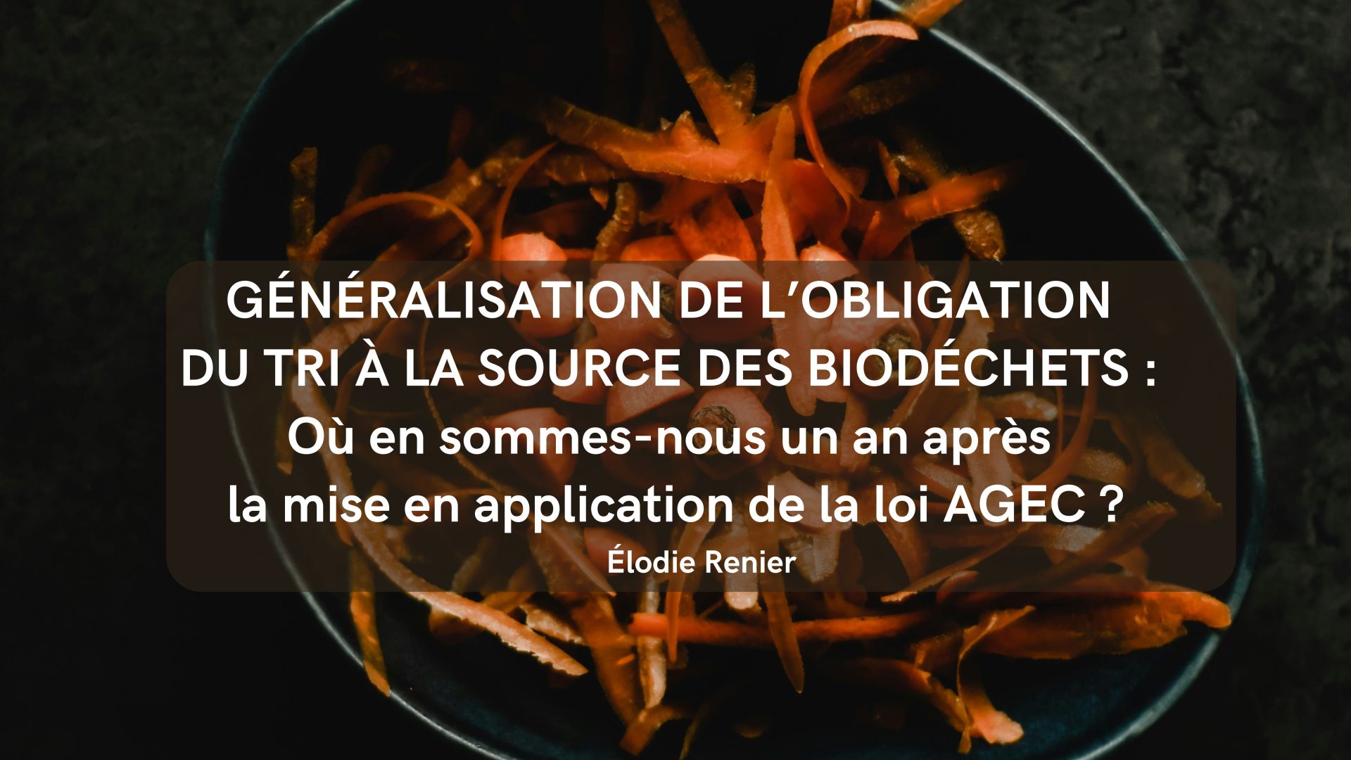 Généralisation de l’obligation du tri à la source des biodéchets : où en sommes-nous un an après la mise en application de la loi AGEC ?