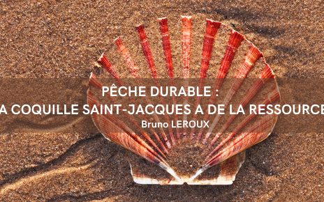 Pêche durable : La coquille Saint Jacques a de la ressource !