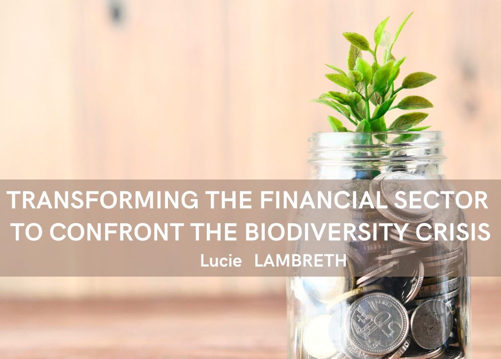 Transforming the Financial Sector to Confront the Biodiversity Crisis