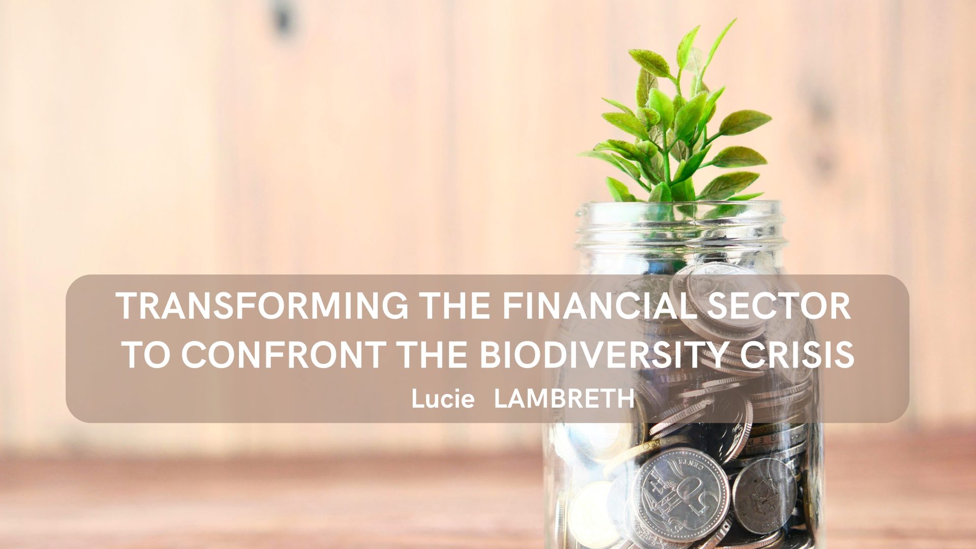 Transforming the Financial Sector to Confront the Biodiversity Crisis