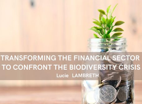 Transforming the Financial Sector to Confront the Biodiversity Crisis