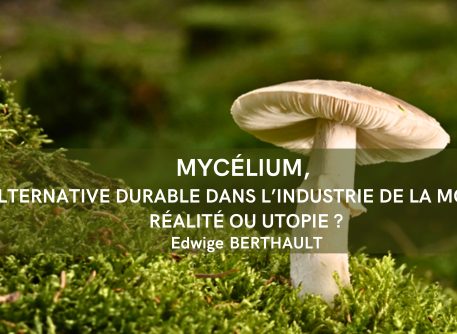 Mycélium, alternative durable dans l’industrie de la mode : réalité ou utopie ?