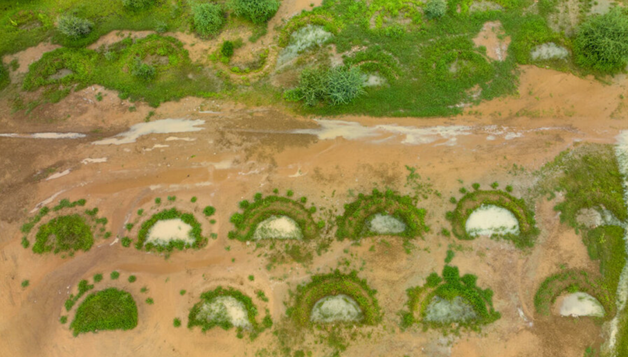 Niger : des millions de demi-lunes ont été construites avec l'aide du PAM. Elles sont essentielles pour collecter l'eau, remplir les aquifères souterrains et accroître la productivité agricole. Photo : PAM/Evelyn Fey