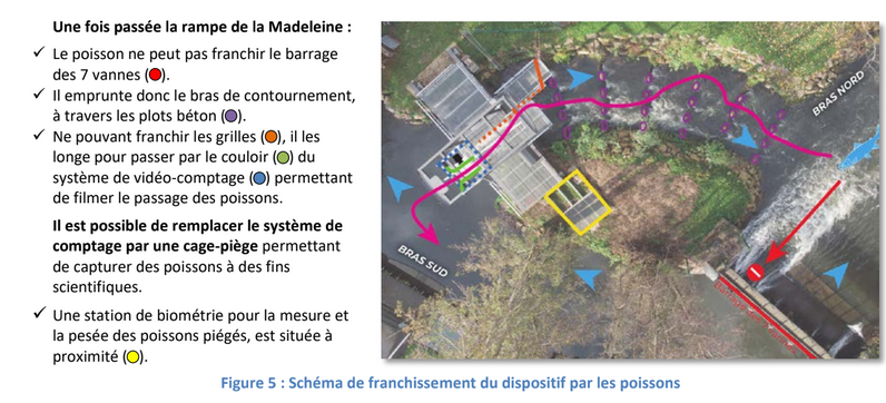 Crédit photo : ©http://www.eure-peche.com/