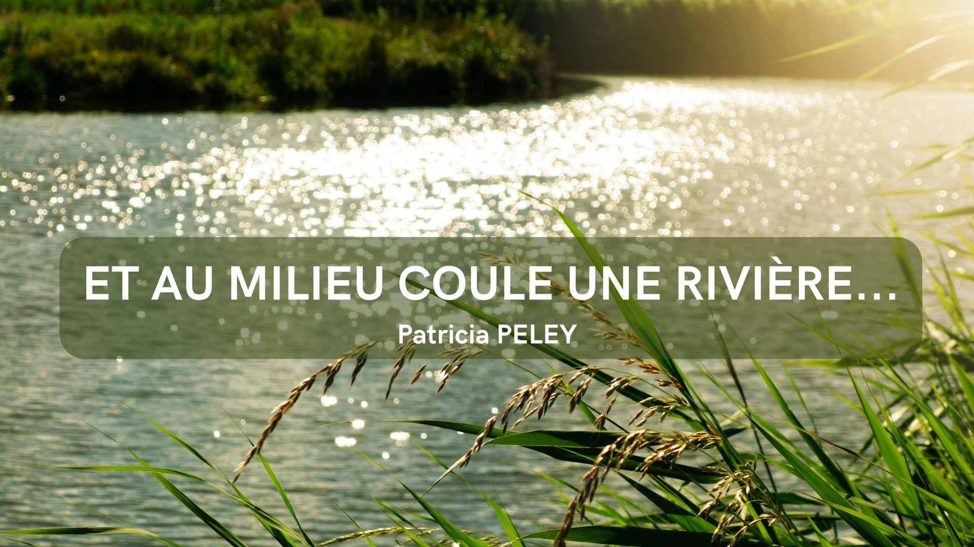 Et au milieu coule une rivière
