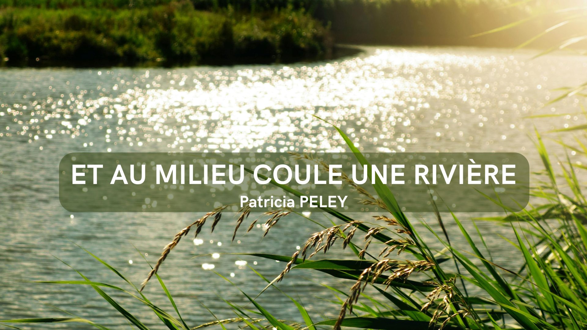 Et au milieu coule une rivière
